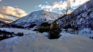 Utendørs trebastu for hage igloo design med fullt panoramavindue (1)