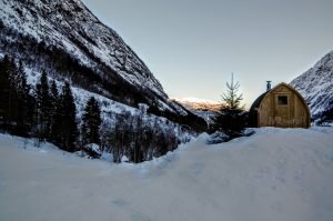 Utendørs trebastu for hage igloo design med fullt panoramavindue (5)